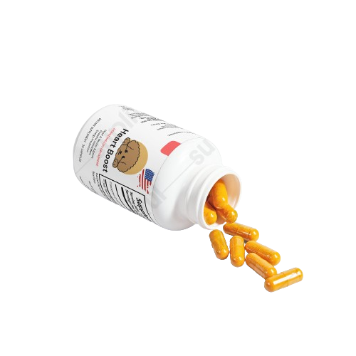 Heart Boost - Coenzyme Q10
