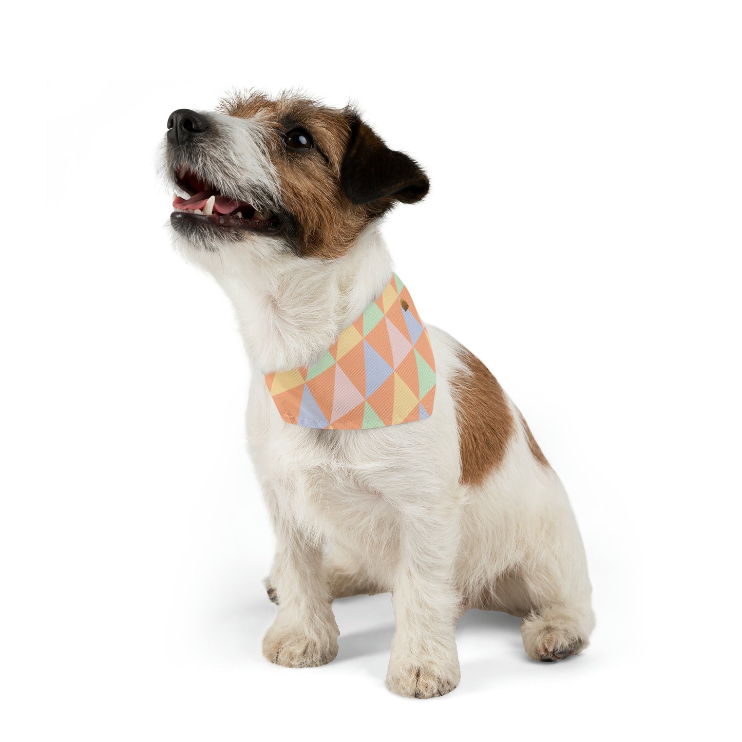Peach - Bandana