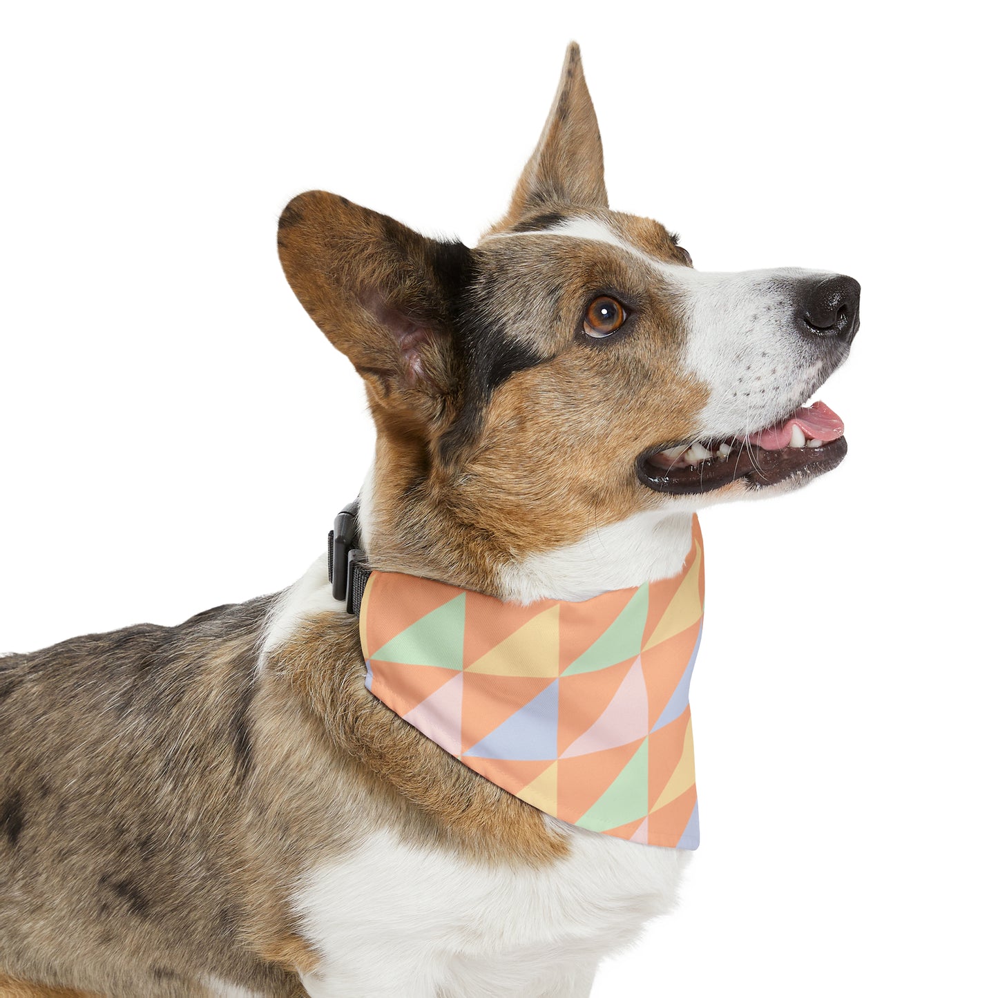 Peach - Bandana