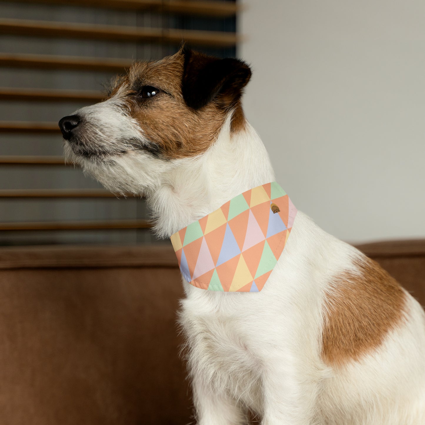 Peach - Bandana