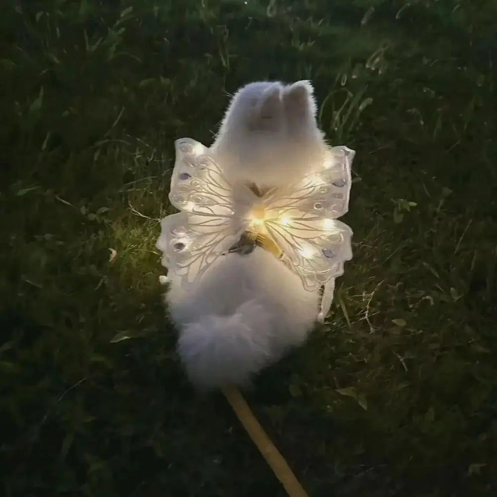 Small Doggy Butterfly Fairy Wings - Light, Movement & Music