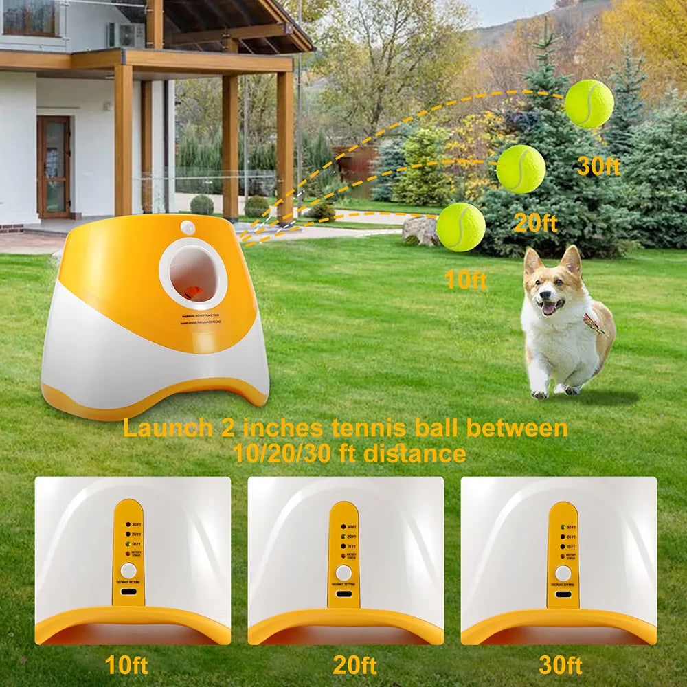 "Poodle Playmate" Automatic Ball Launcher
