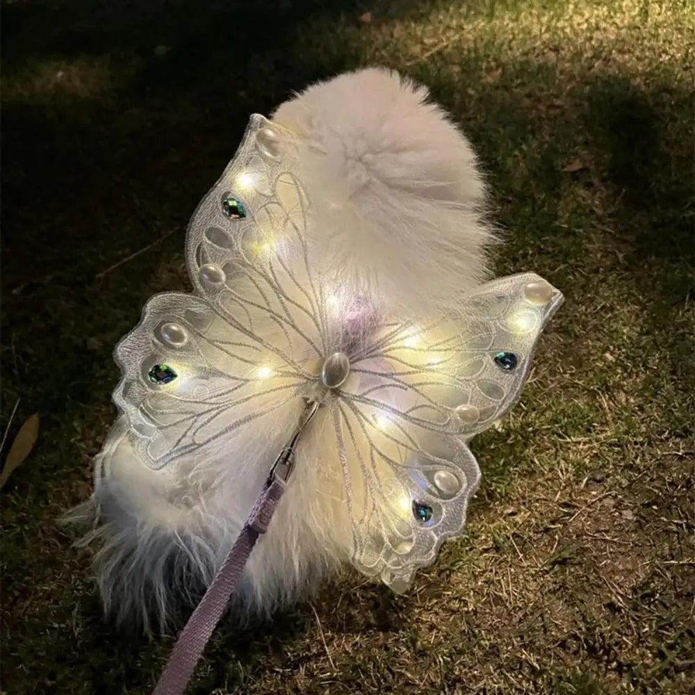 Small Doggy Butterfly Fairy Wings - Light, Movement & Music