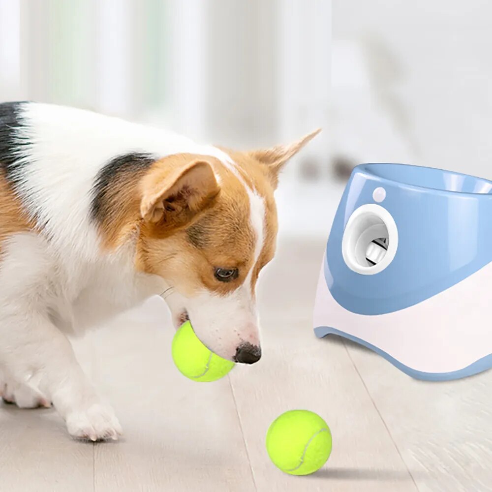 "Poodle Playmate" Automatic Ball Launcher