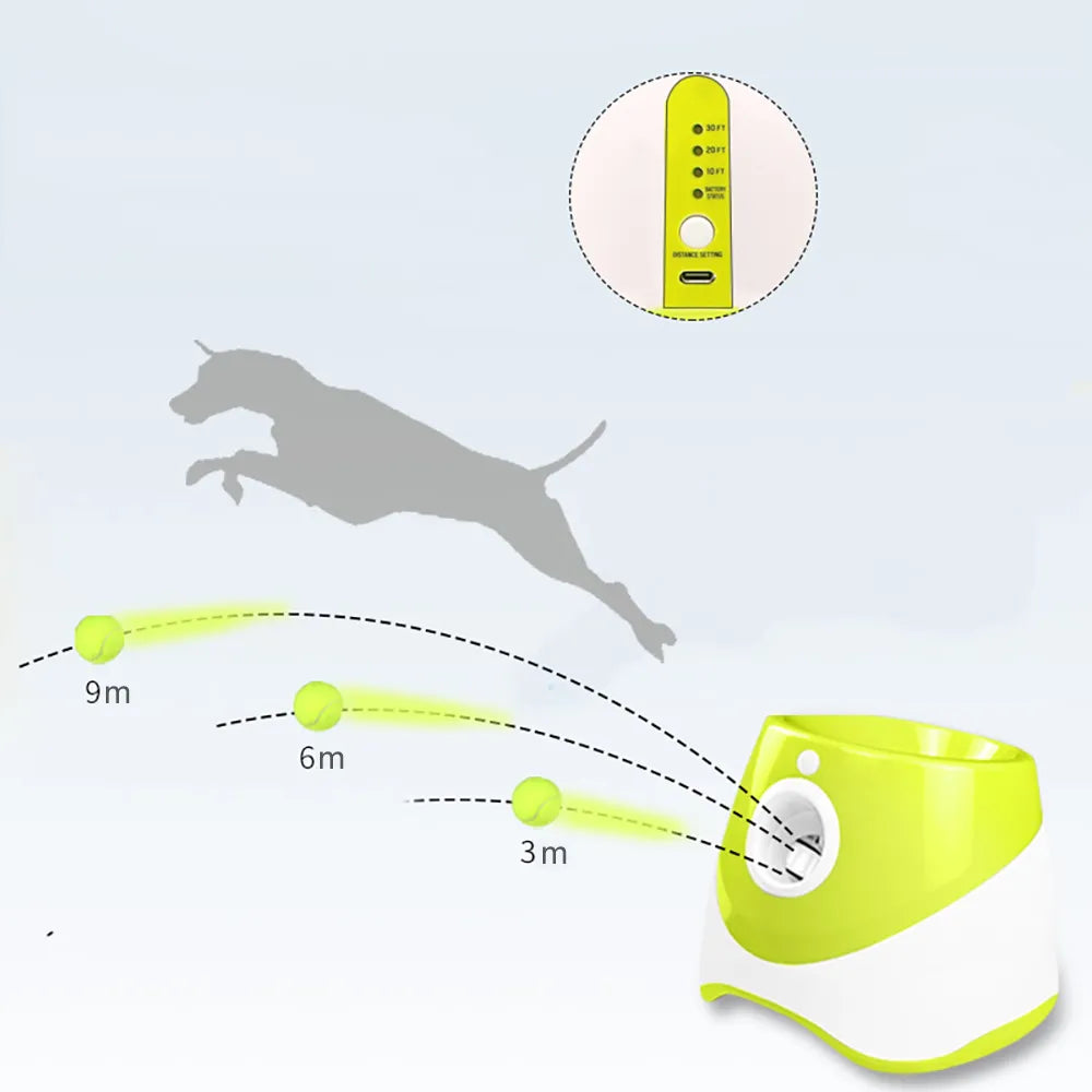"Poodle Playmate" Automatic Ball Launcher