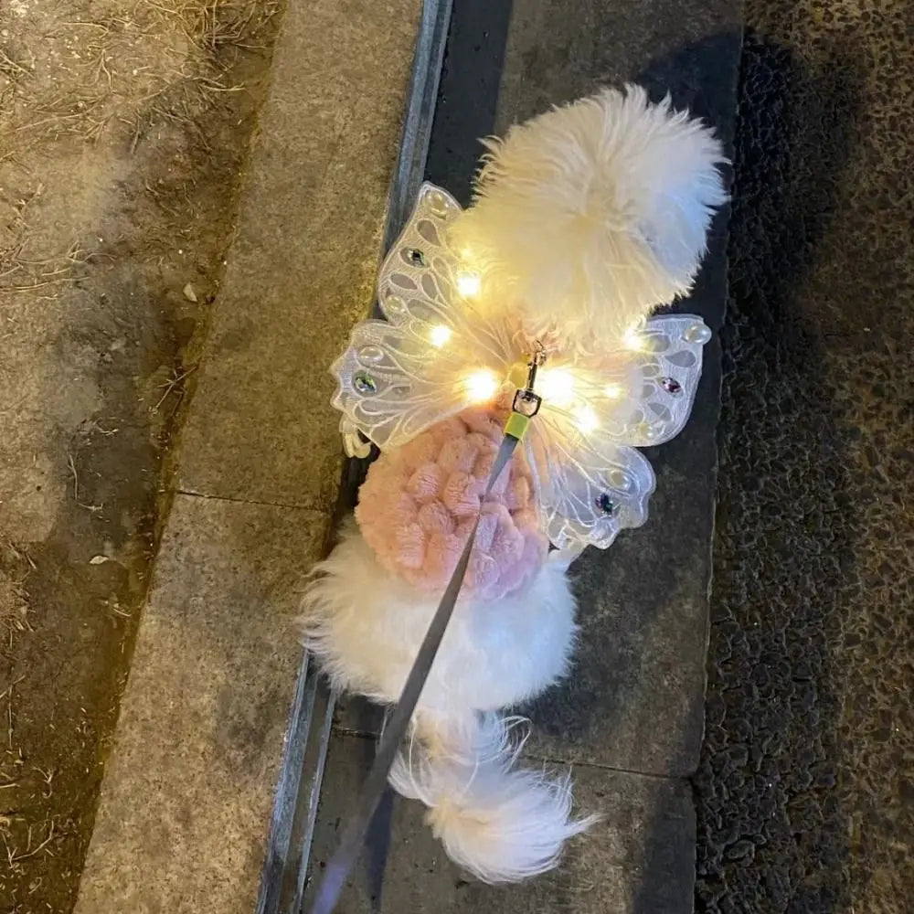 Small Doggy Butterfly Fairy Wings - Light, Movement & Music