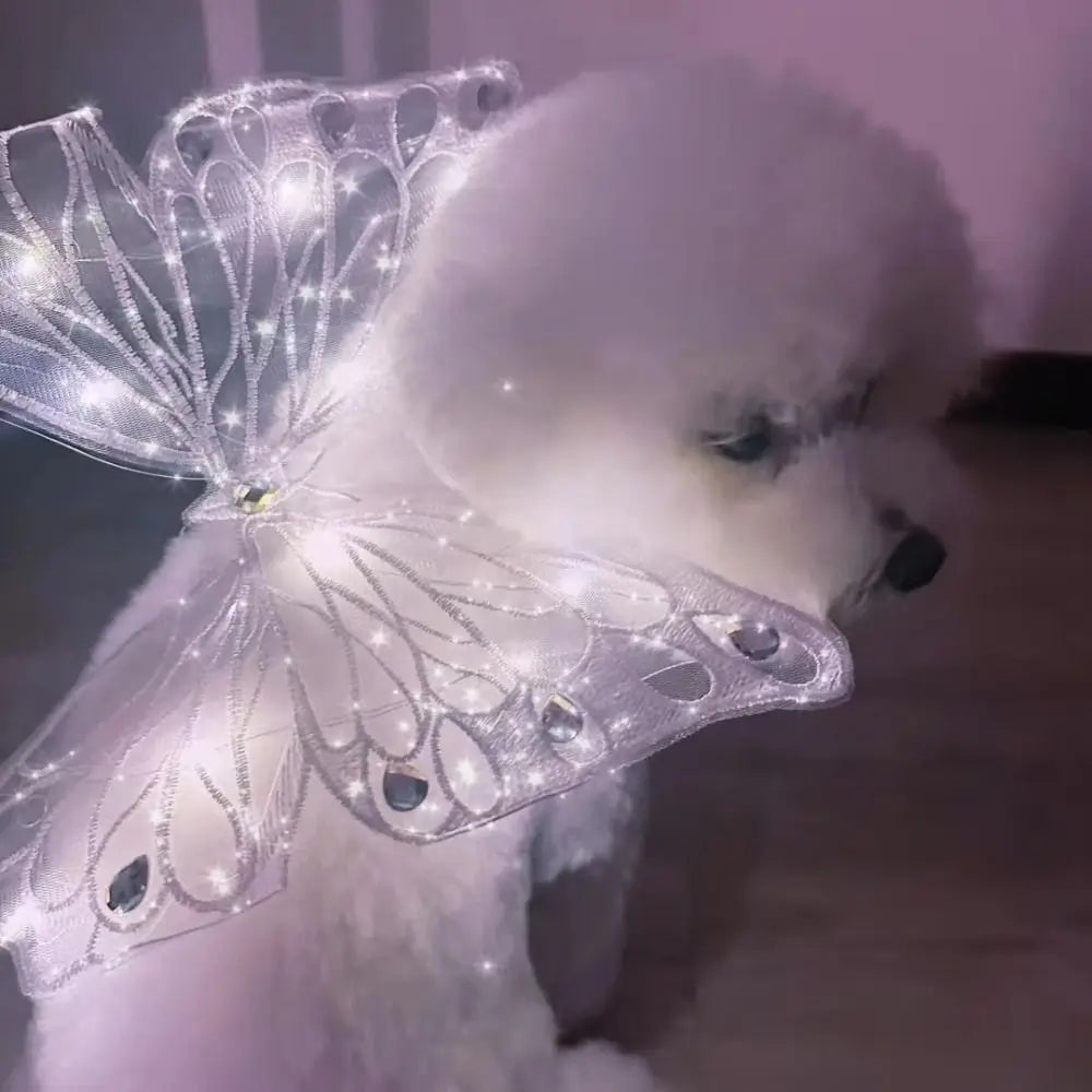 Small Doggy Butterfly Fairy Wings - Light, Movement & Music