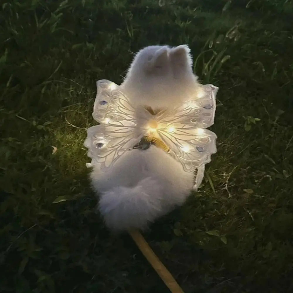 Small Doggy Butterfly Fairy Wings - Light, Movement & Music