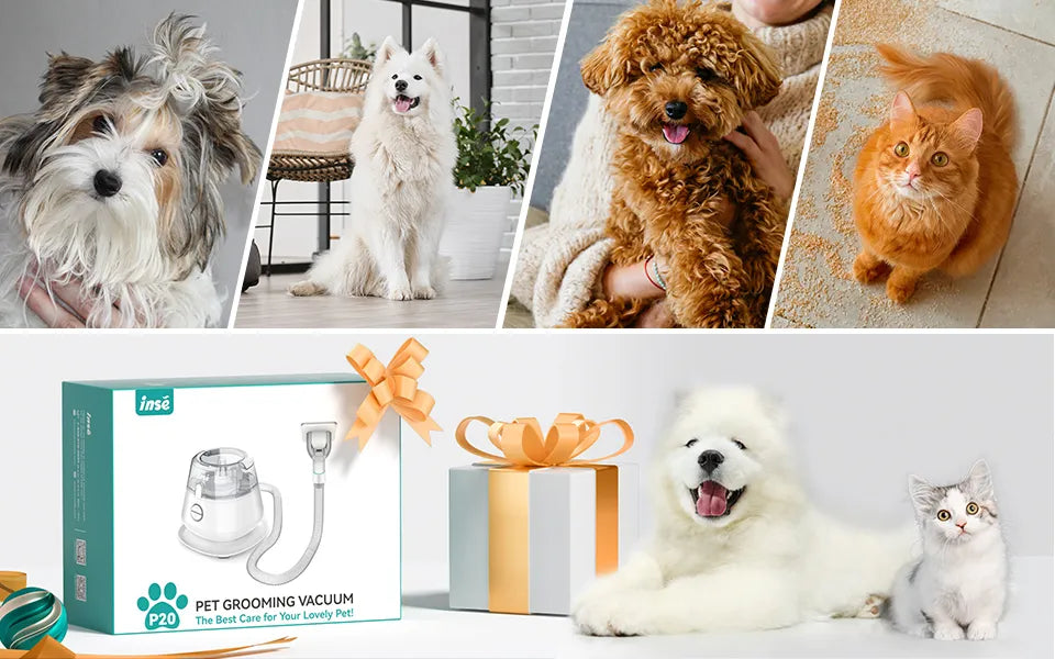 Pet Grooming Vacuum Station