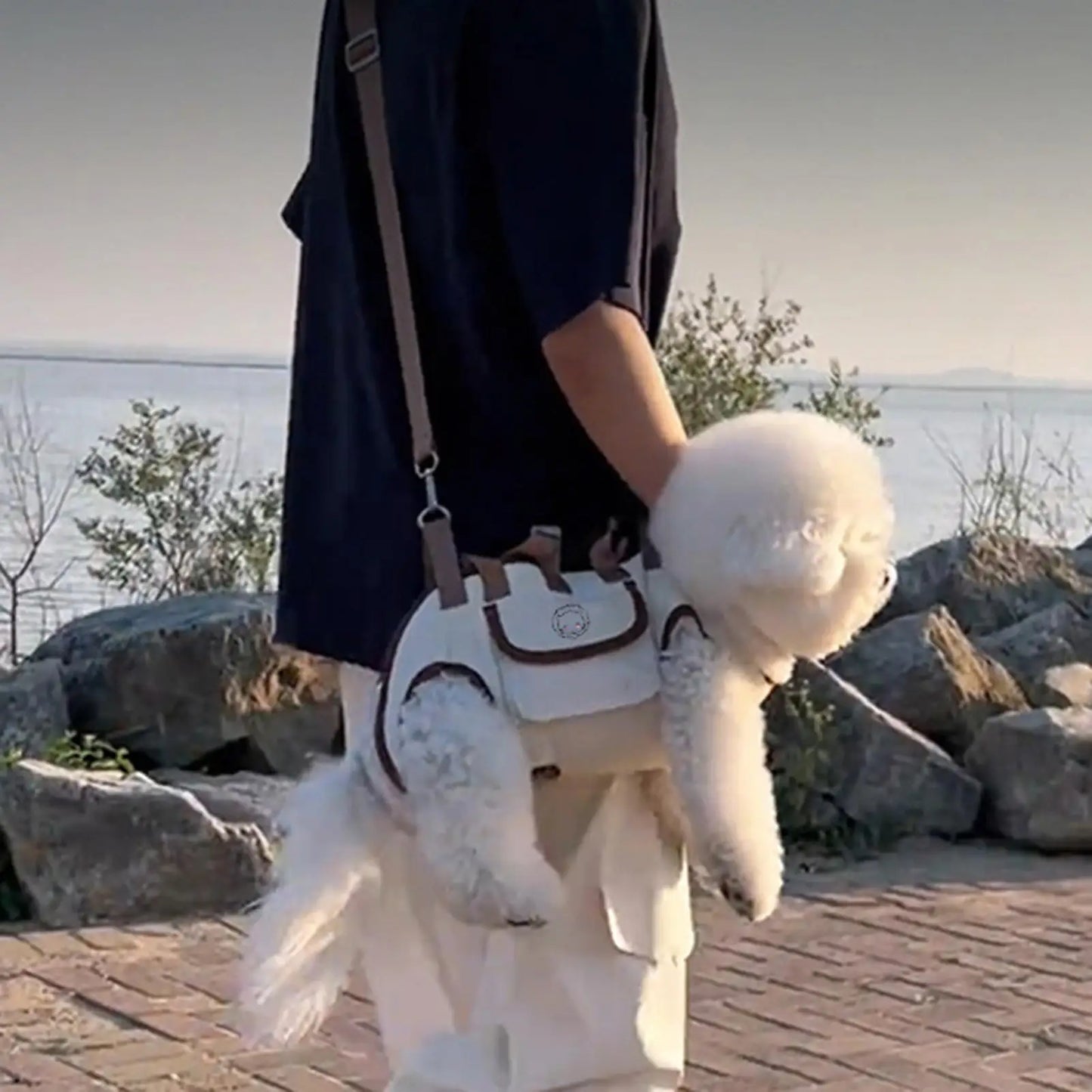 Dog&Bear - Adventure Vest
