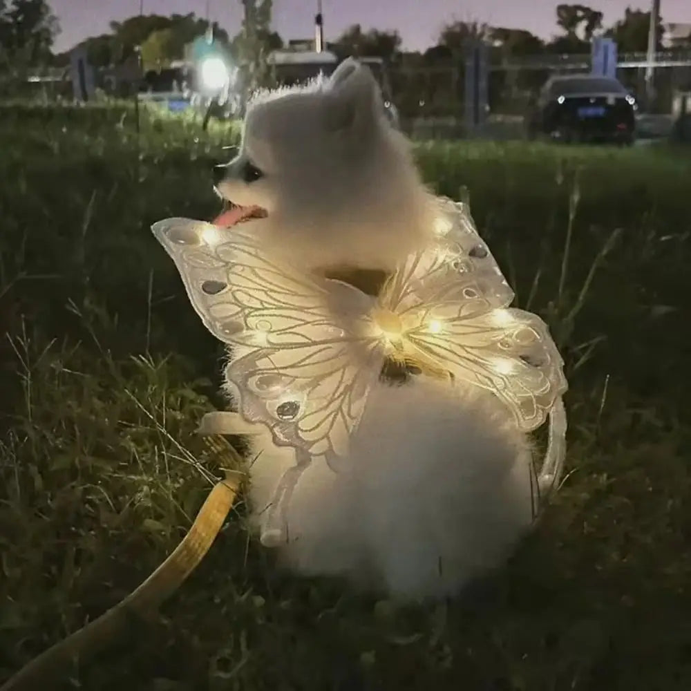 Small Doggy Butterfly Fairy Wings - Light, Movement & Music