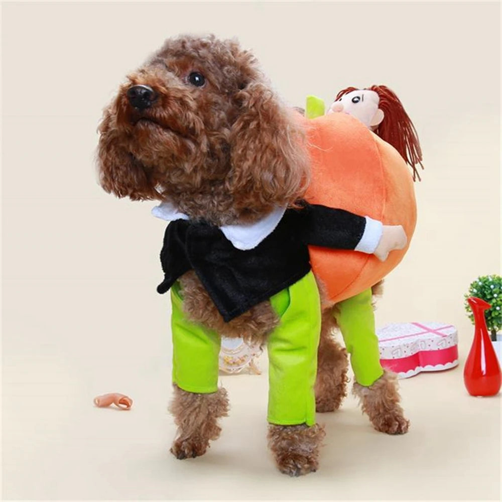 Pumpkin Doggy