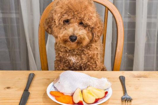 10 Deliciously Healthy Fruits for Spoiling Your Poodle