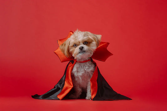 Enchanting Dog Costumes for Festive Fun and Play