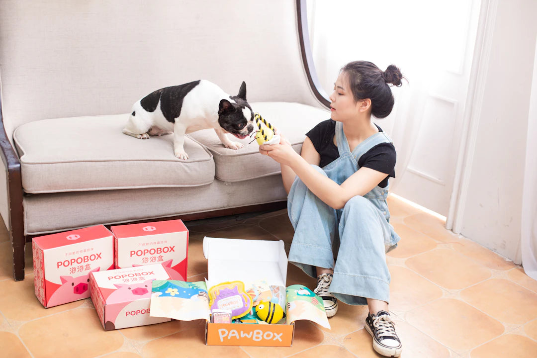 Essential Dog Care Products for Health and Hygiene