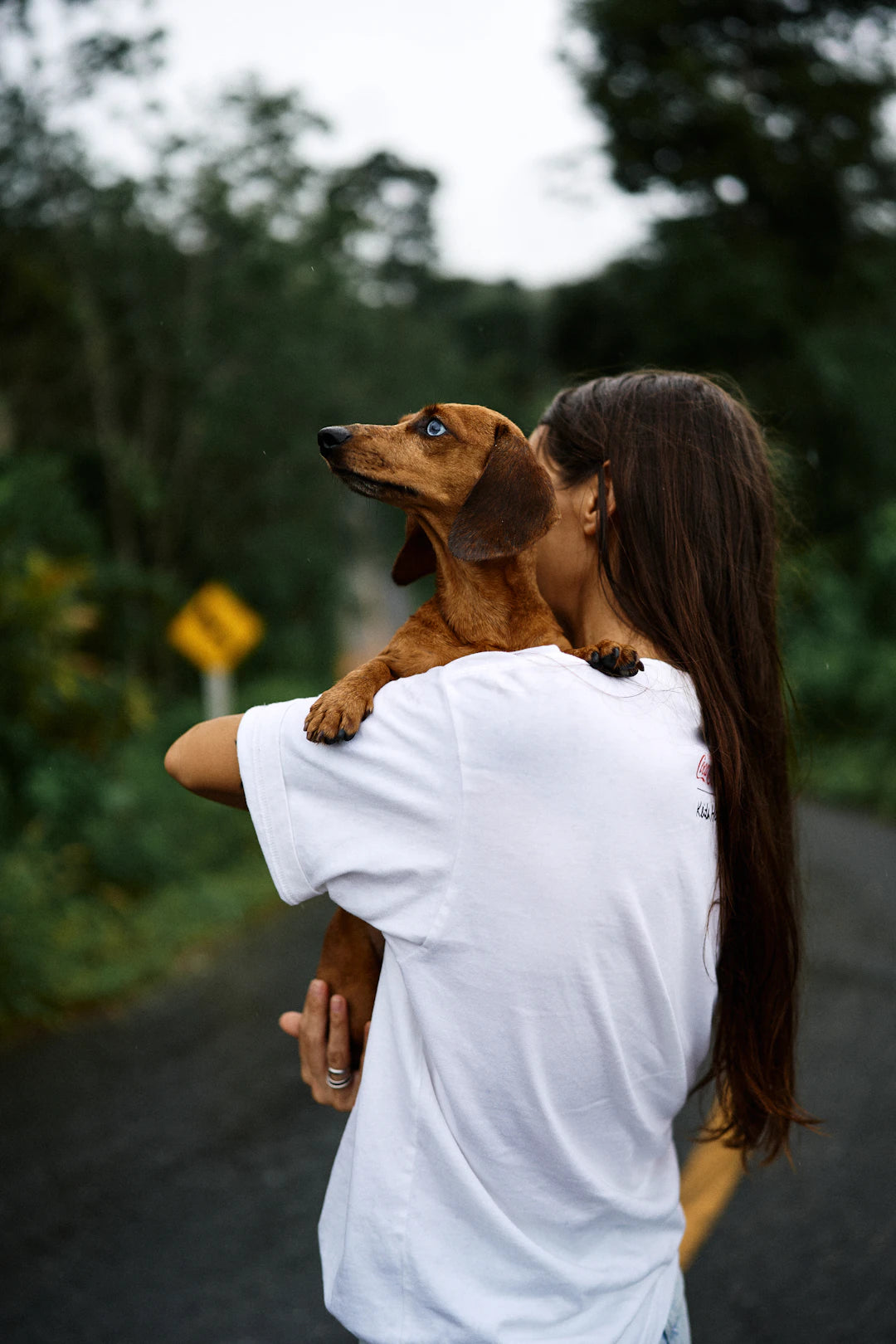Building a Lifelong Bond with Your Dog