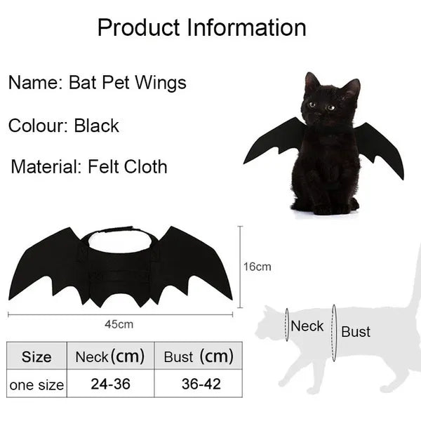 Black Bat