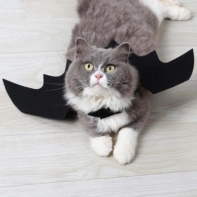 Black Bat