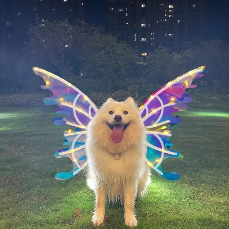 Doggy Butterfly Fairy Wings - Light, Movement & Music