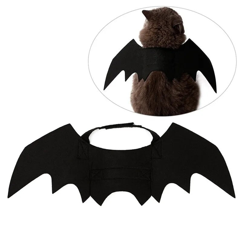 Black Bat