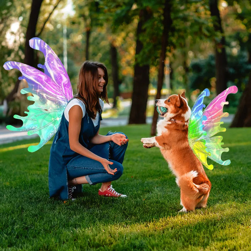 Doggy Butterfly Fairy Wings - Light, Movement & Music