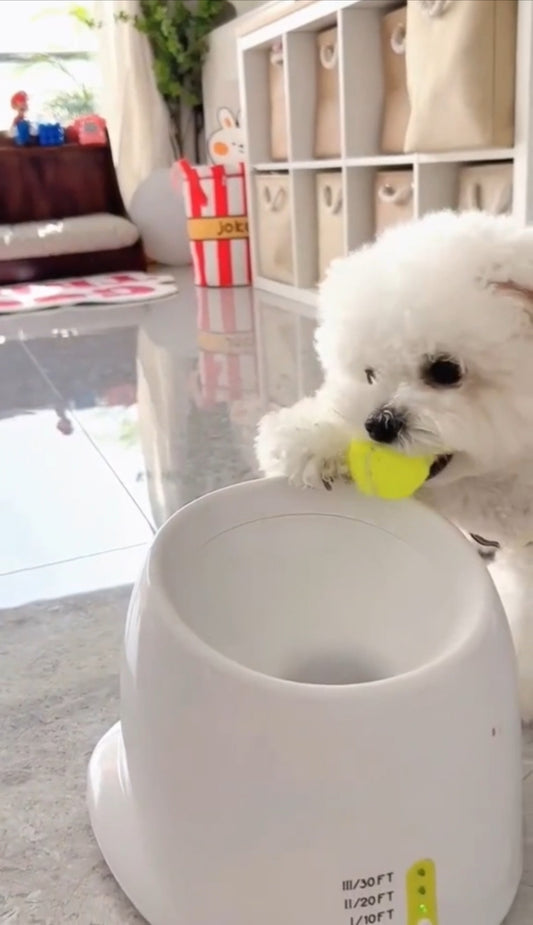 "Poodle Playmate" Automatic Ball Launcher